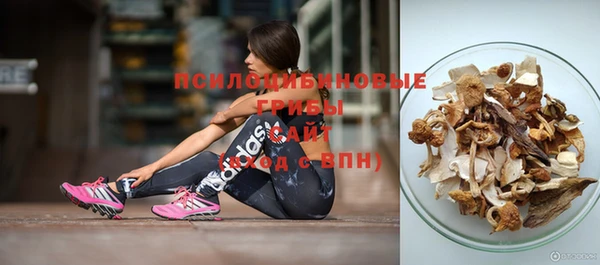 винт Новокубанск