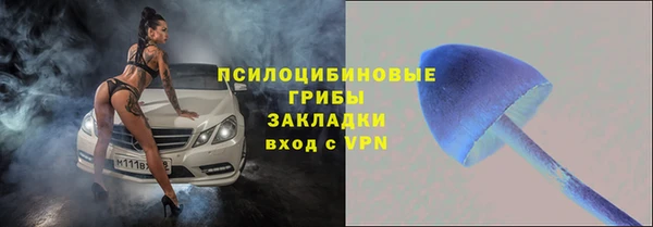 дмт Алексин