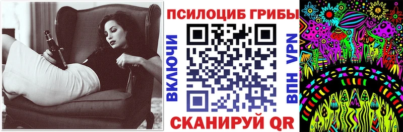 kraken как войти Тихвин Галлюциногенные грибы прущие грибы