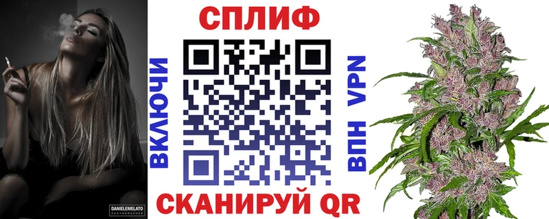 Конопля конопля Тихвин